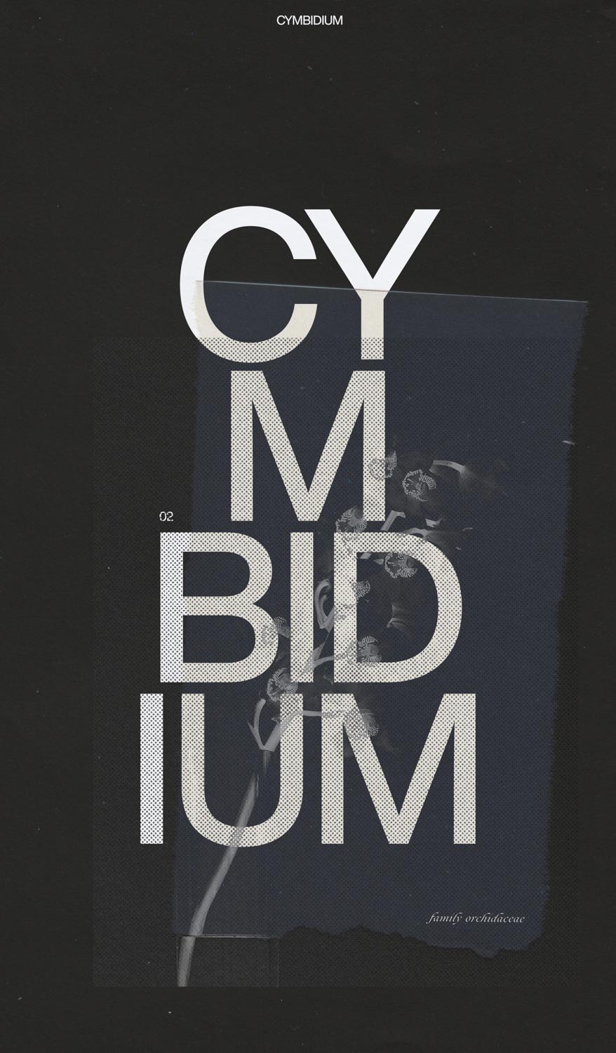 Poster 2