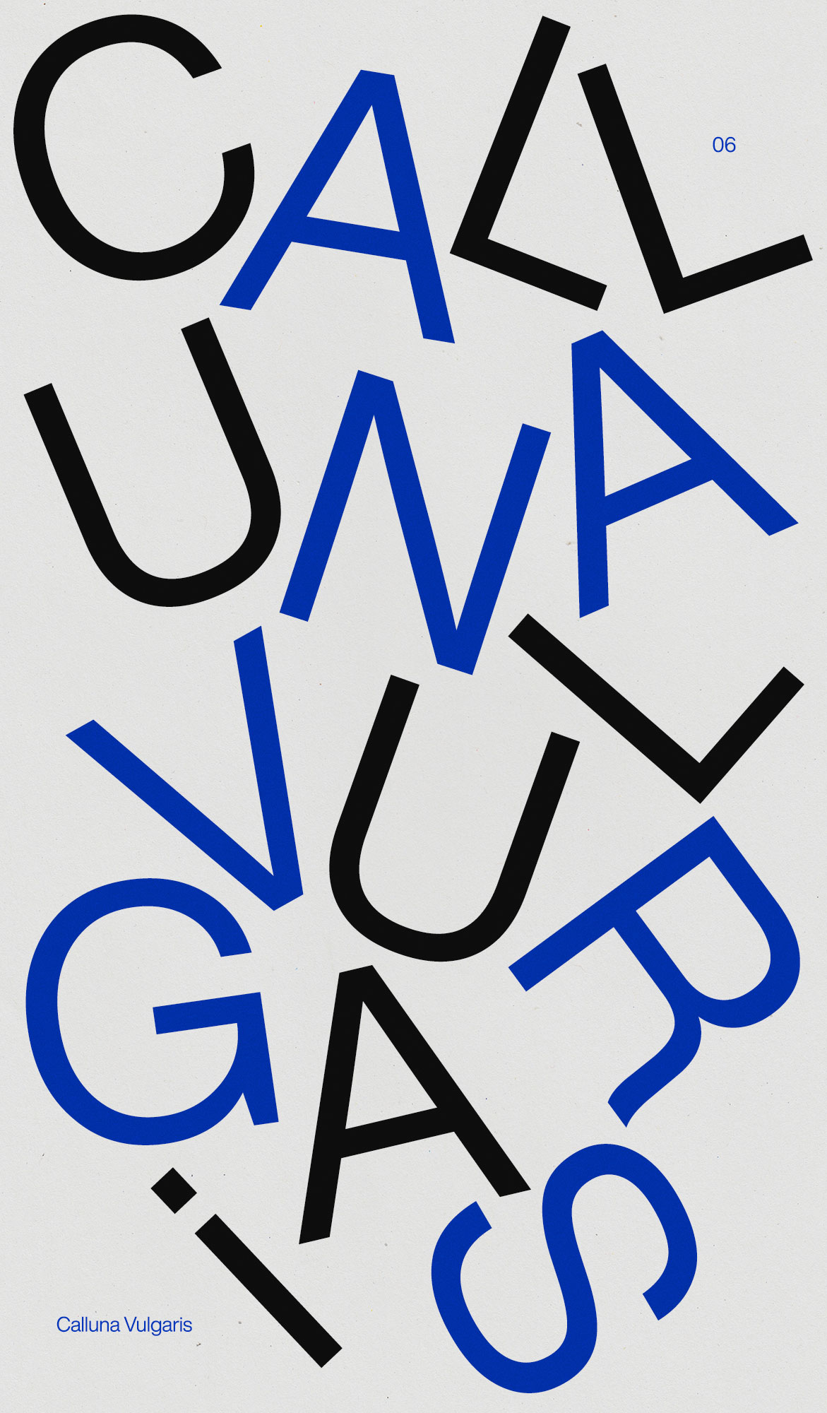 Poster 6