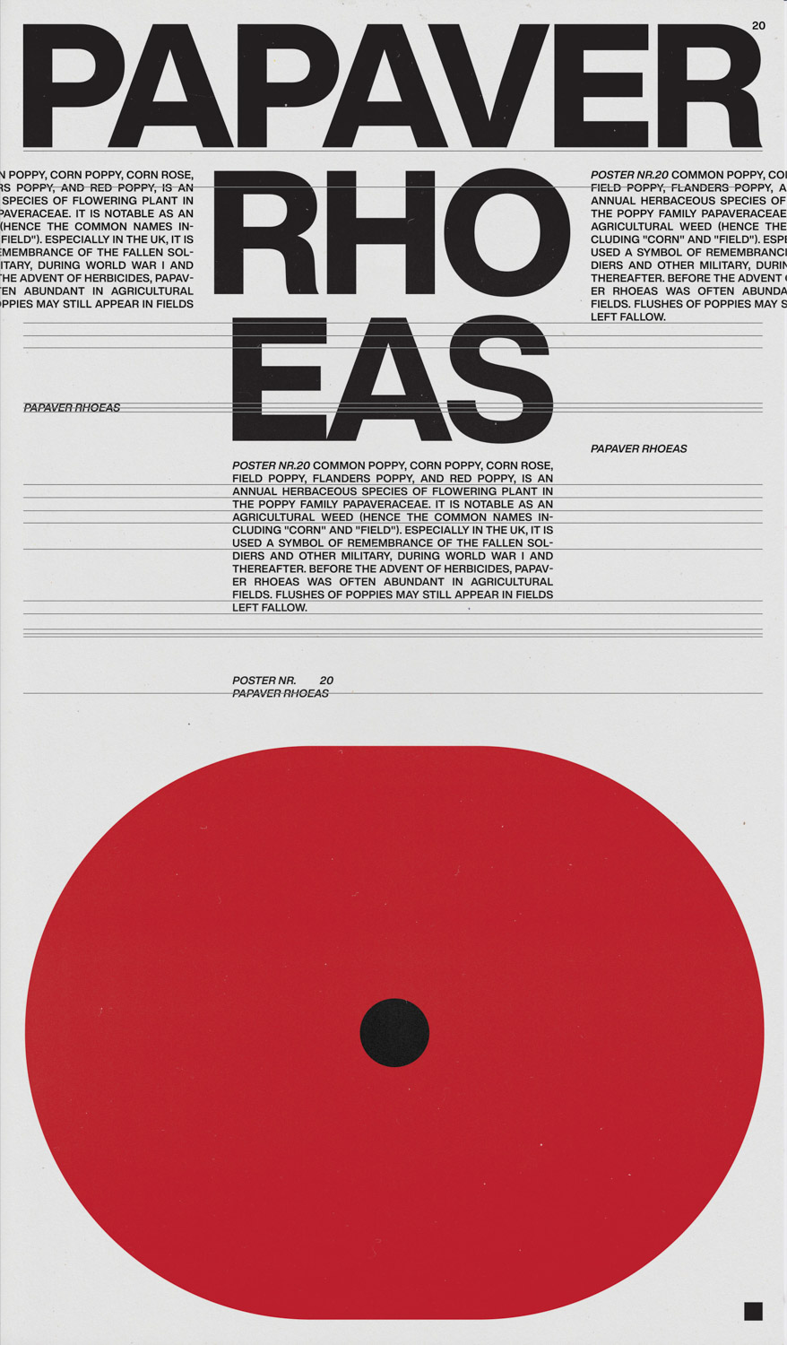 Poster 20