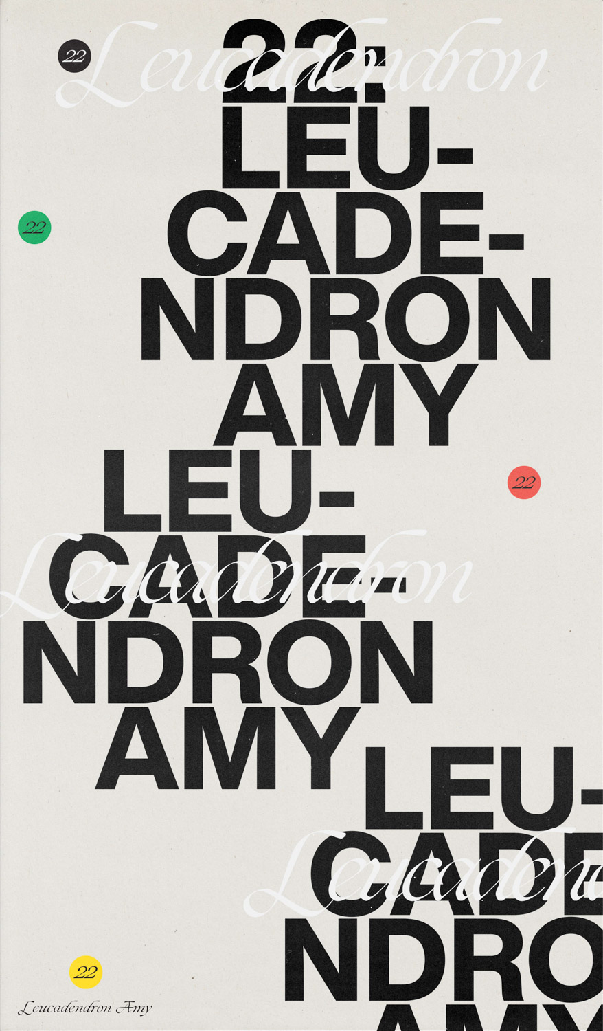 Poster 22